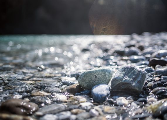 Wasserbibliothek Ernst Bromeis